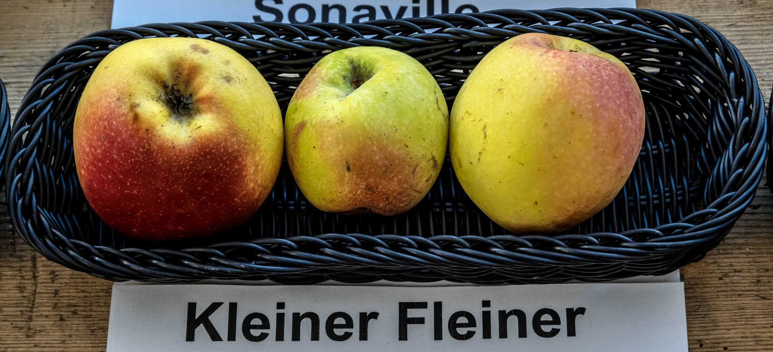 Kleiner Fleiner apple