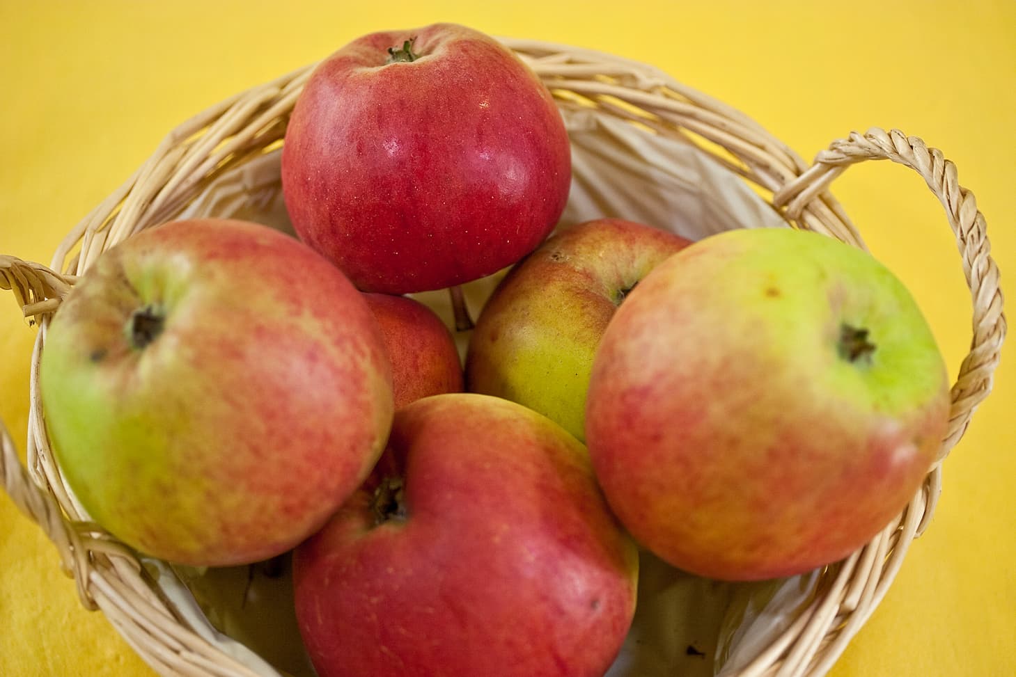 Erwin Baur apple