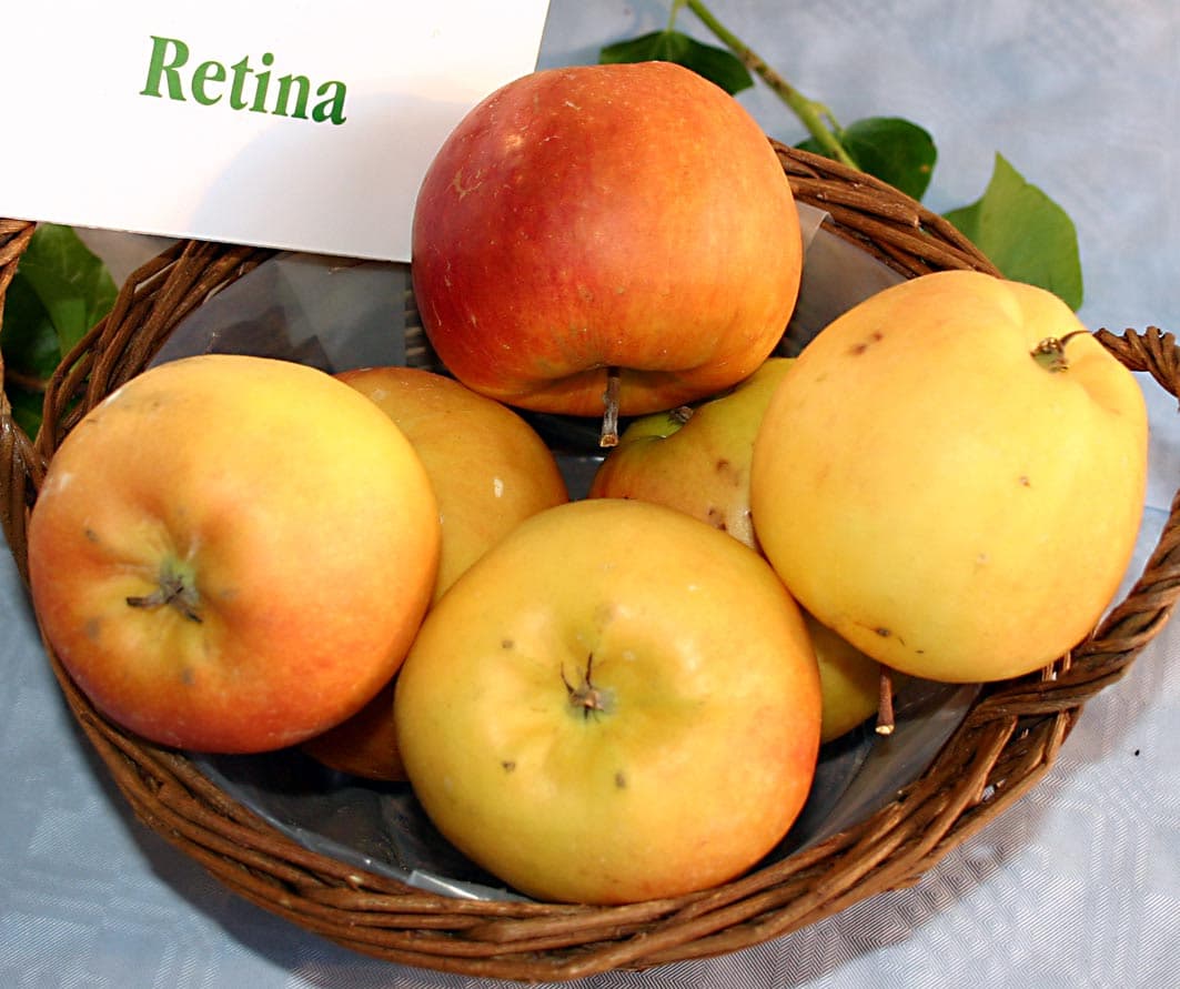 Retina apple