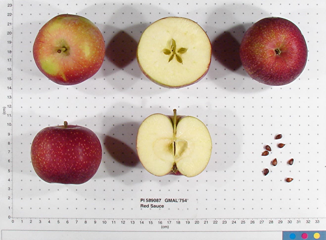 Red Sauce apple