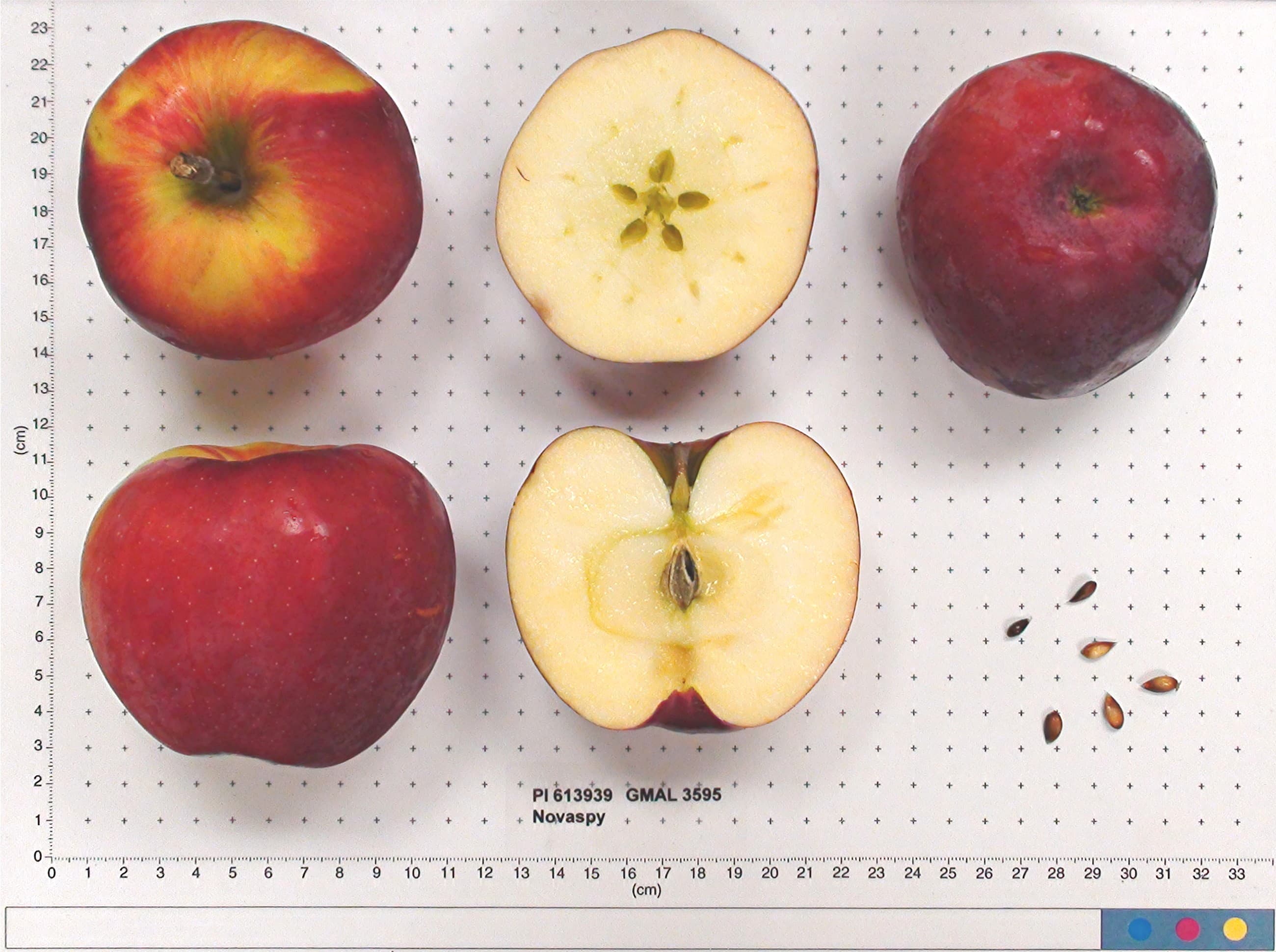 Novaspy apple