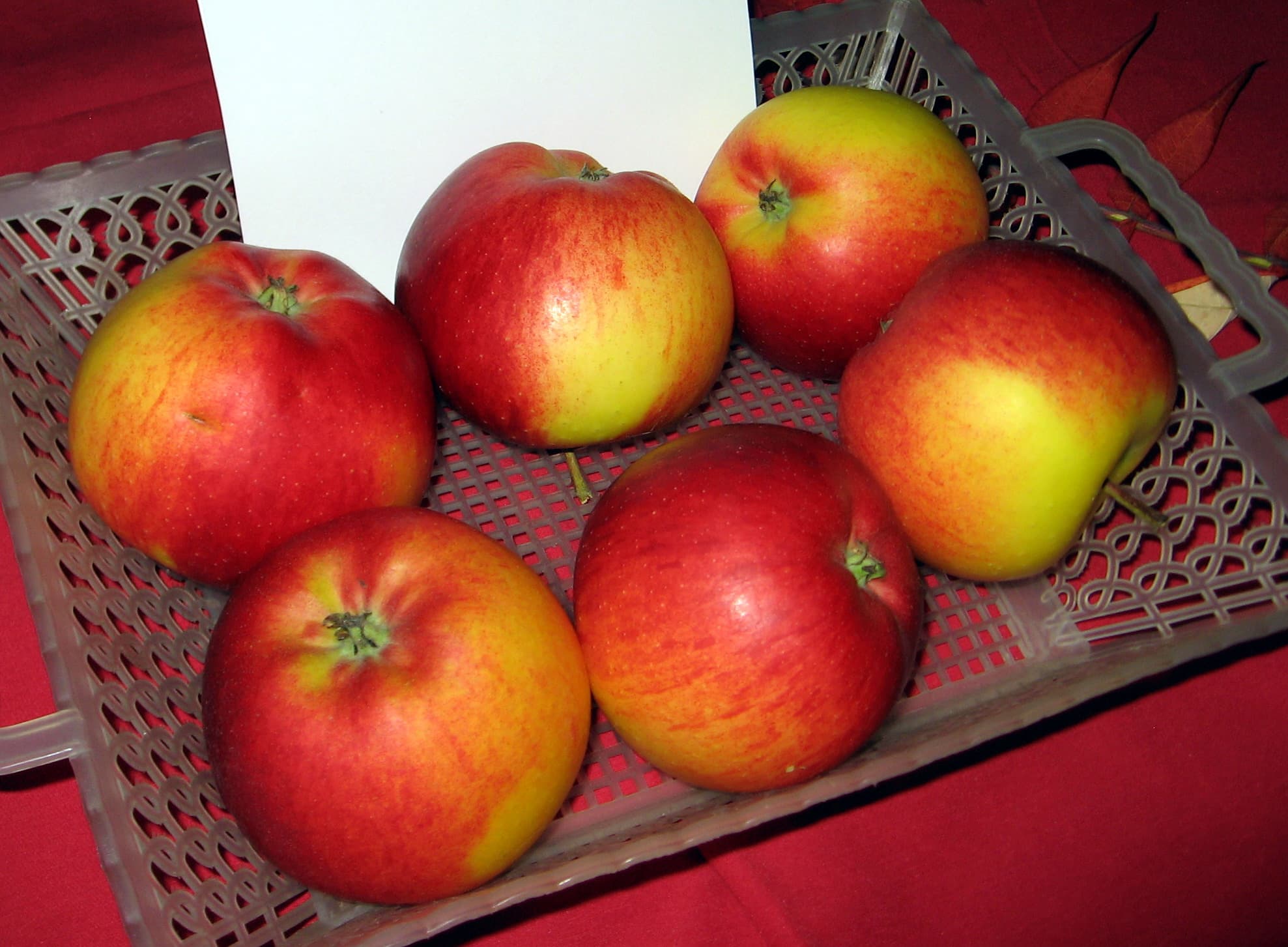 Rubinola apple