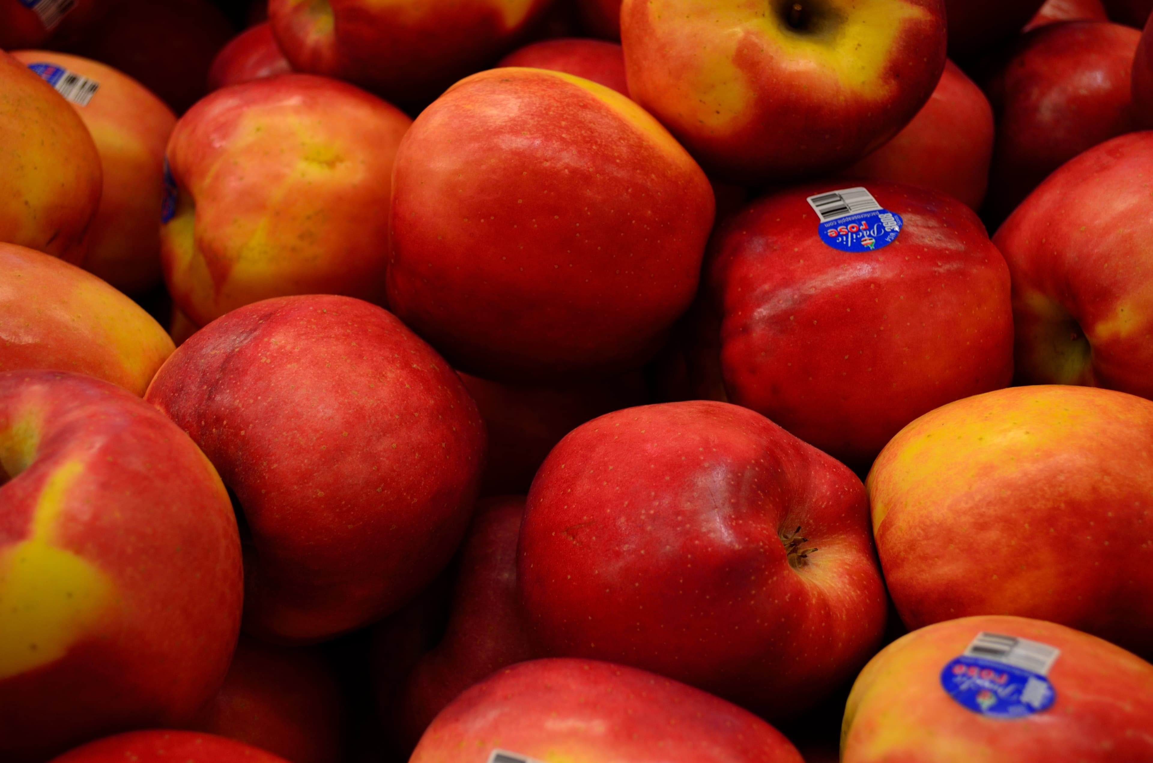 Pacific Rose apple