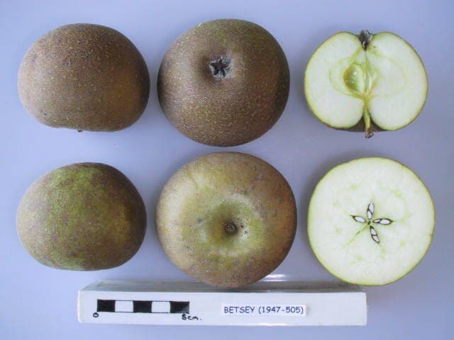 Betsey apple