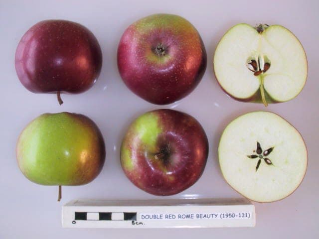 Double Red Rome Beauty apple