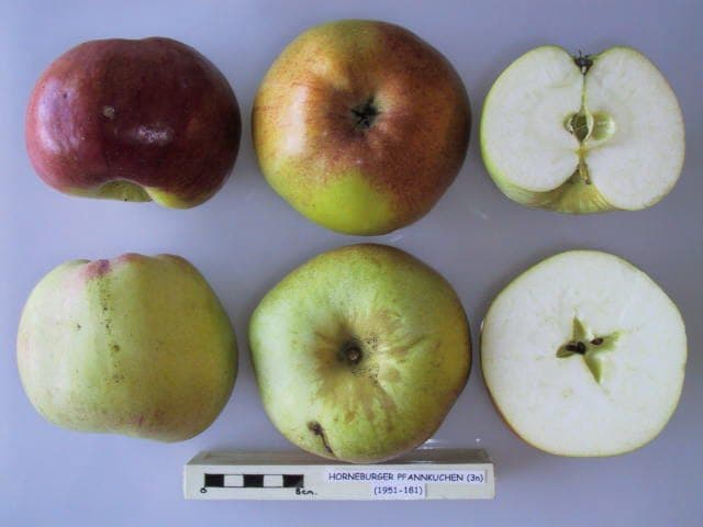 Horneburger Pfannkuchen apple