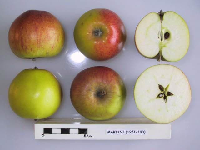 Martini apple