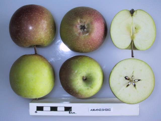 Amanishiki apple