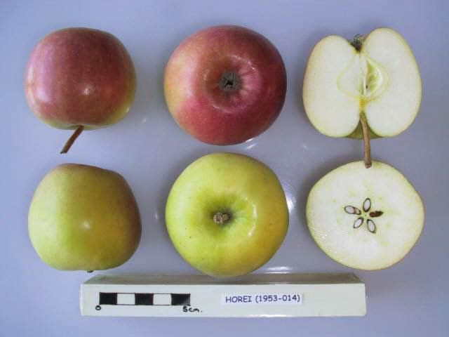 Horei apple