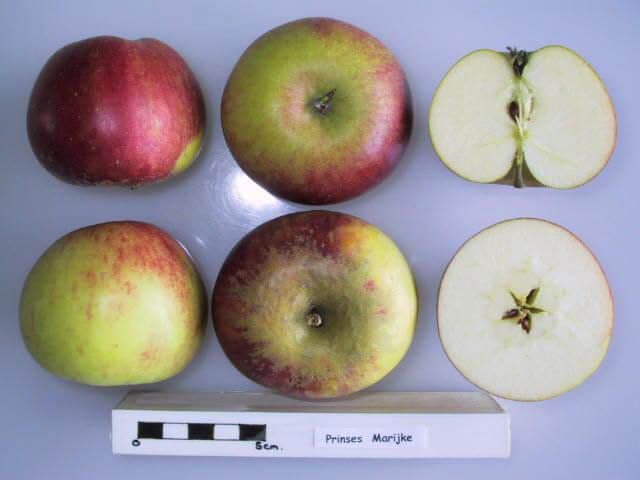 Prinses Marijke apple