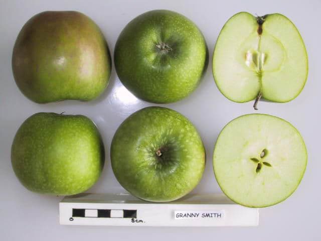 Granny Smith apple