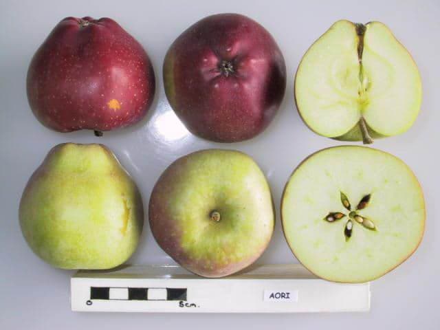 Aori apple