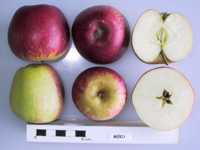 Meku apple