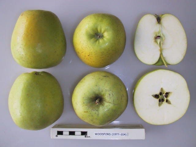 Woodford apple