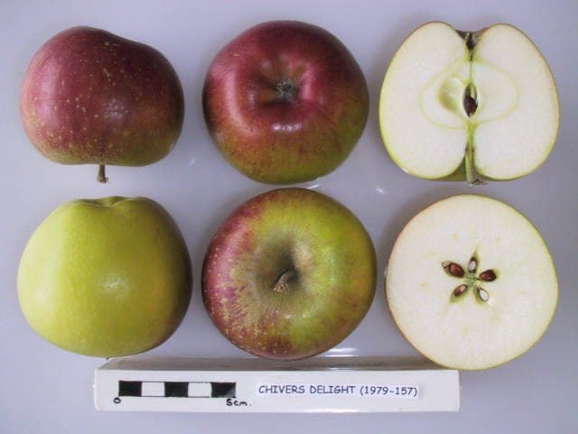 Chivers Delight apple