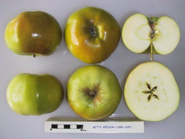 Betty Geeson apple