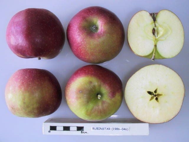 Rubinstar apple