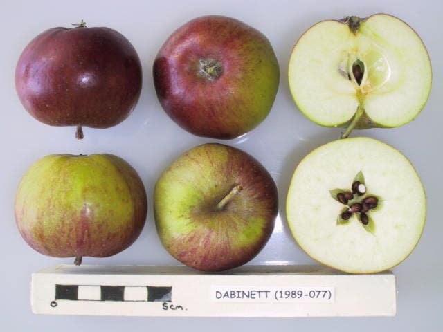 Dabinett apple