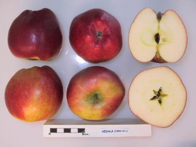 Hidala apple