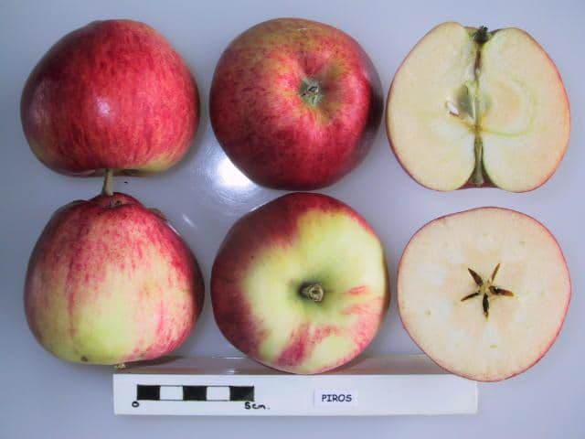 Piros apple