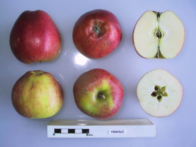 Pikkolo apple