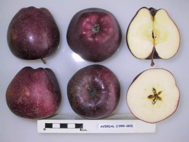 Averdal apple