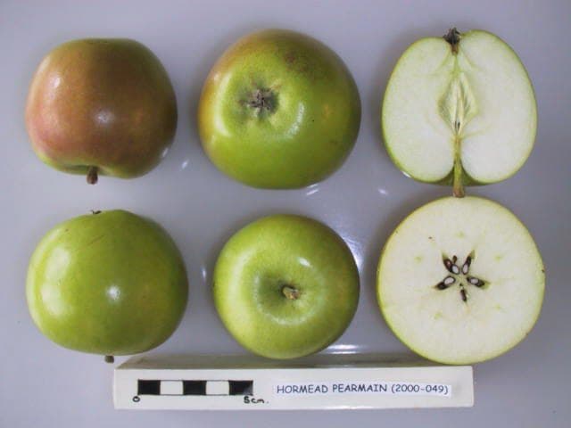 Hormead Pearmain apple