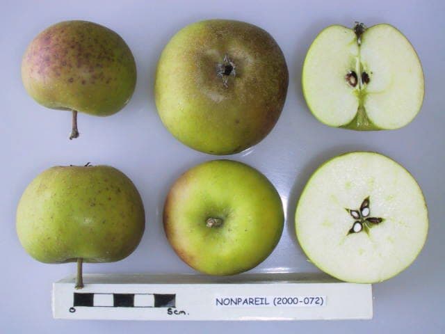 Nonpareil apple