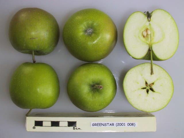 NICOGREEN apple