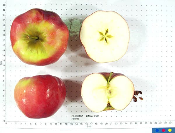 Rouville apple