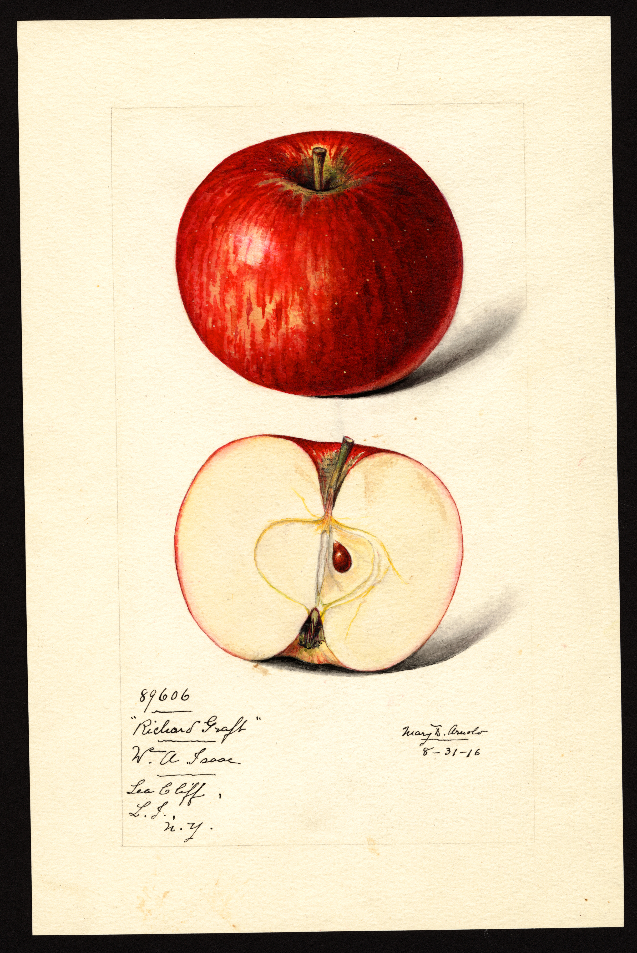 Strawberry apple