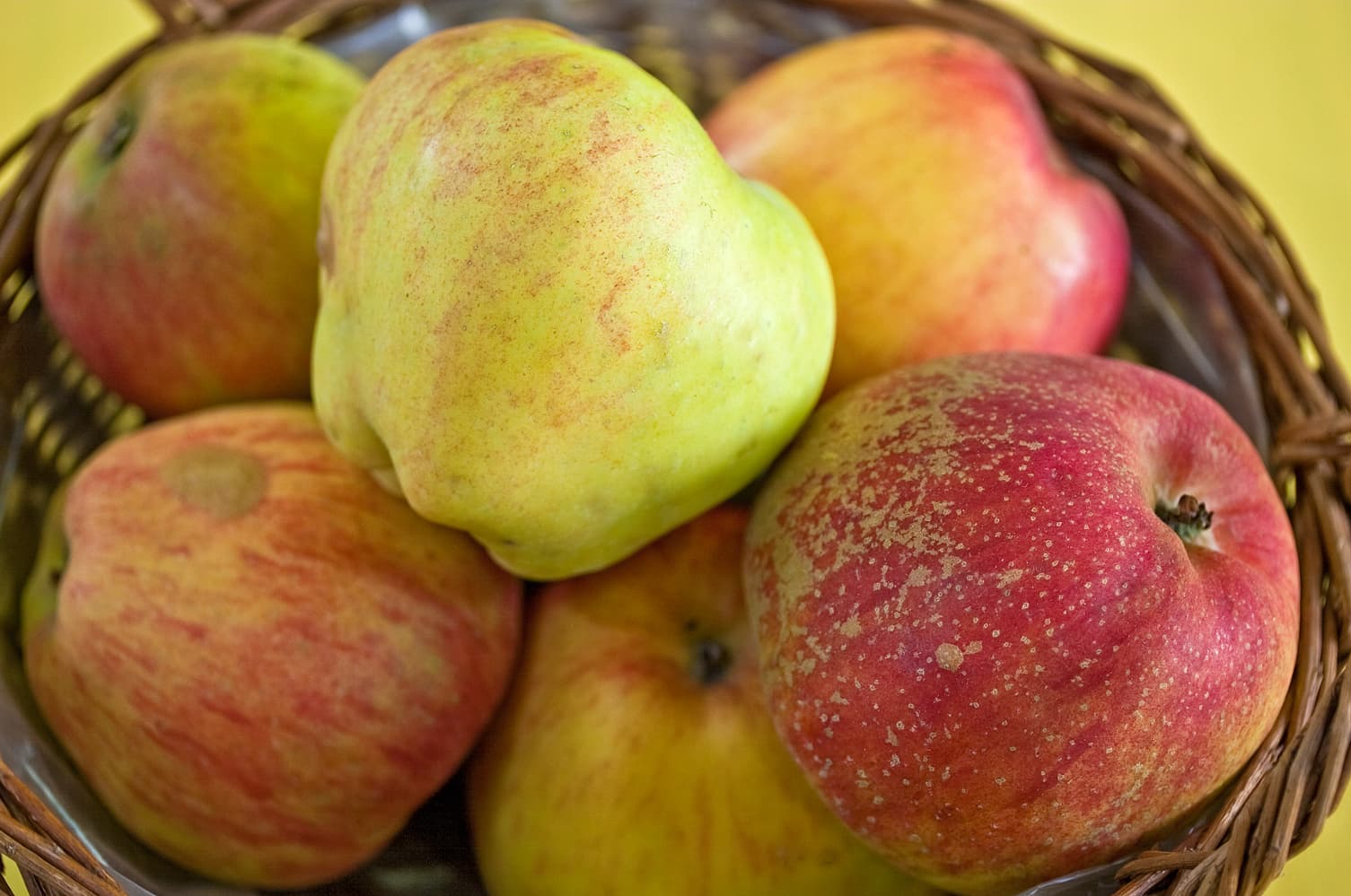 Pikant apple
