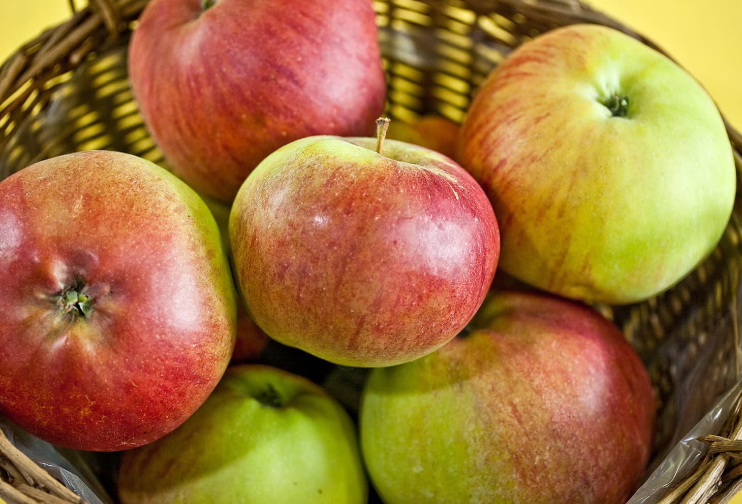 Pimona apple