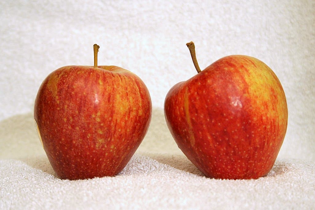 Cameo apple