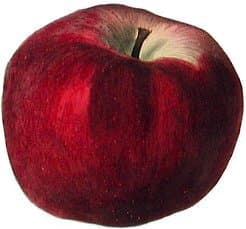 Winston agm apple