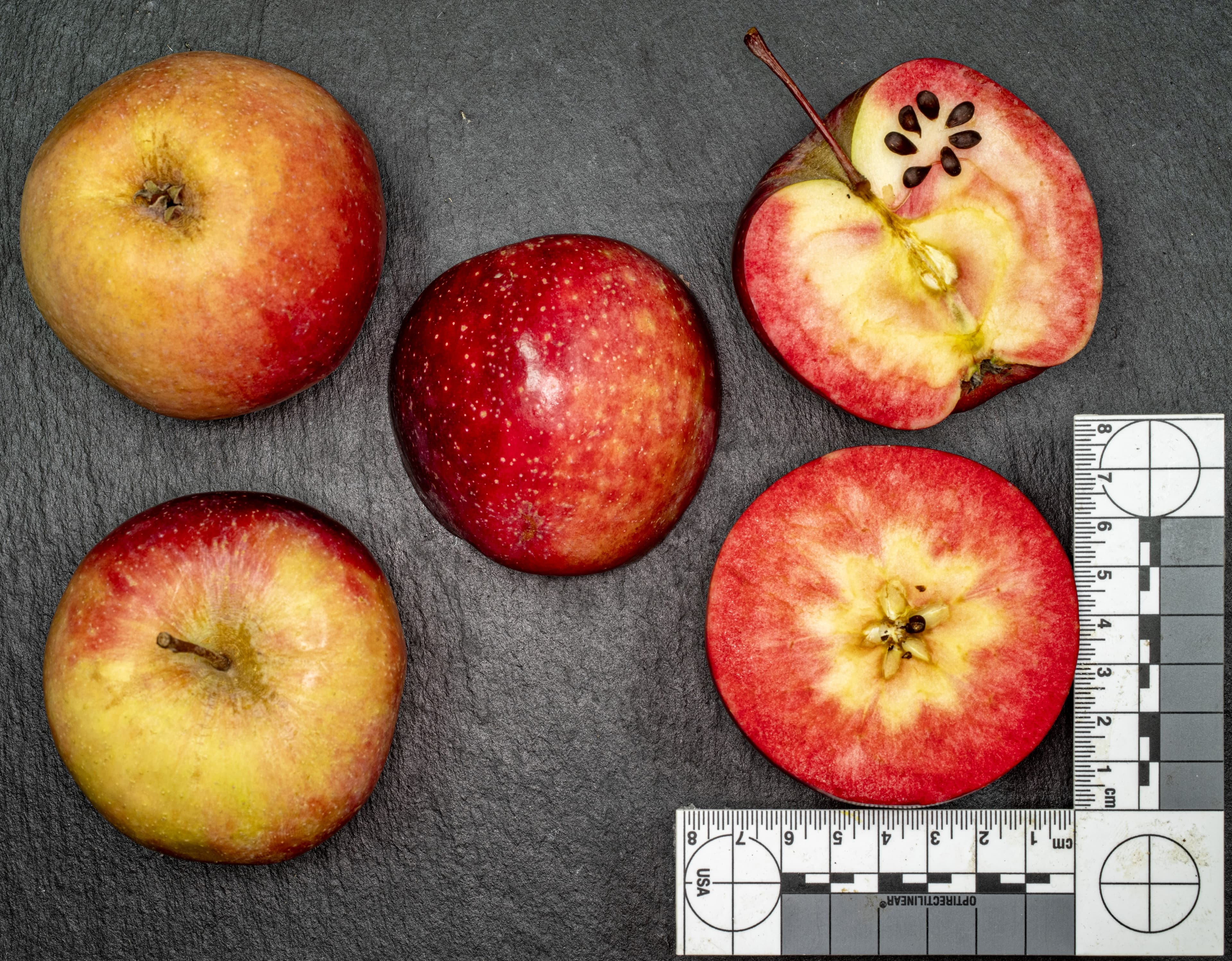 Kissabel Rouge apple